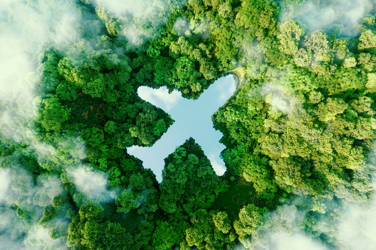 A lake in the shape of an airplane in the middle of untouched nature.